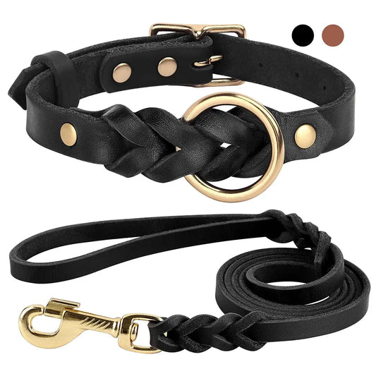 Dog Collar and Leash Set - Image #1